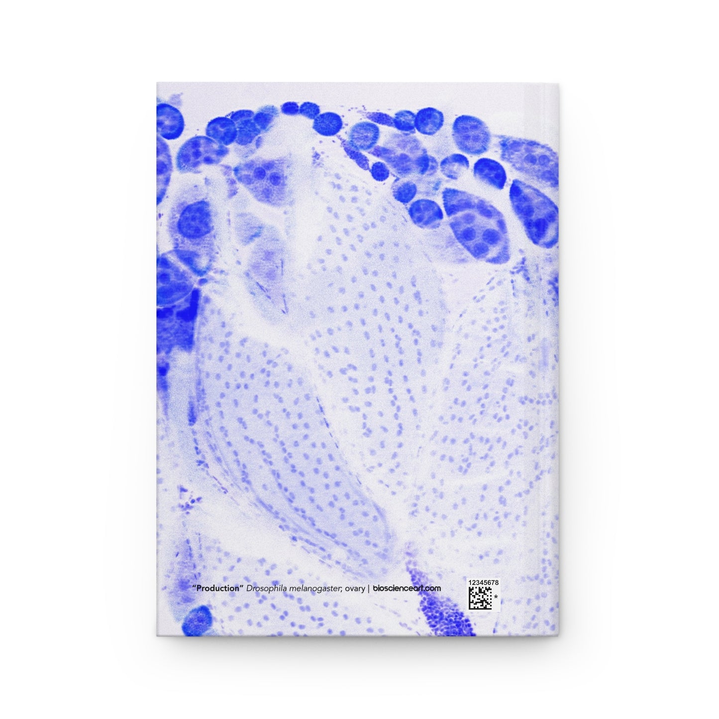 Biology Art "Fruit Fly" Purple Notebook