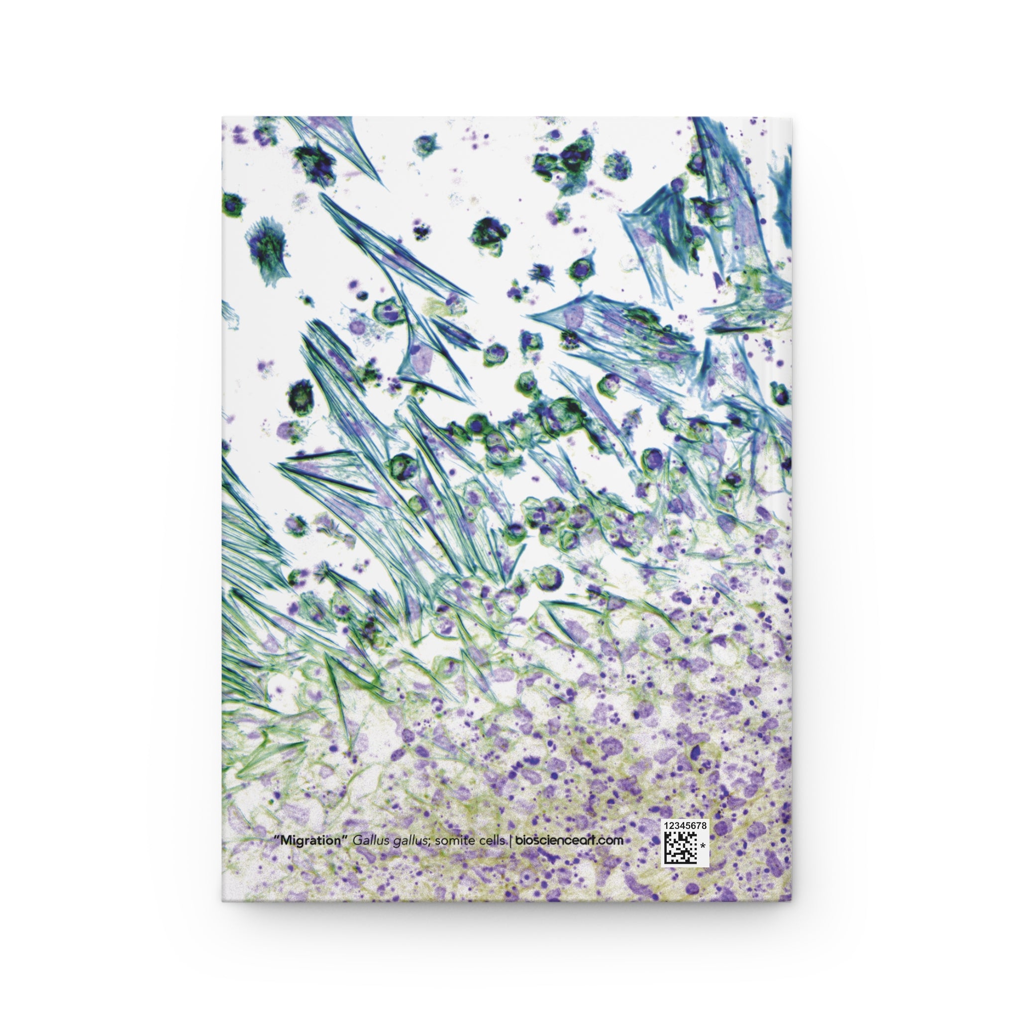 Biology Art Blue "Migration" Notebook